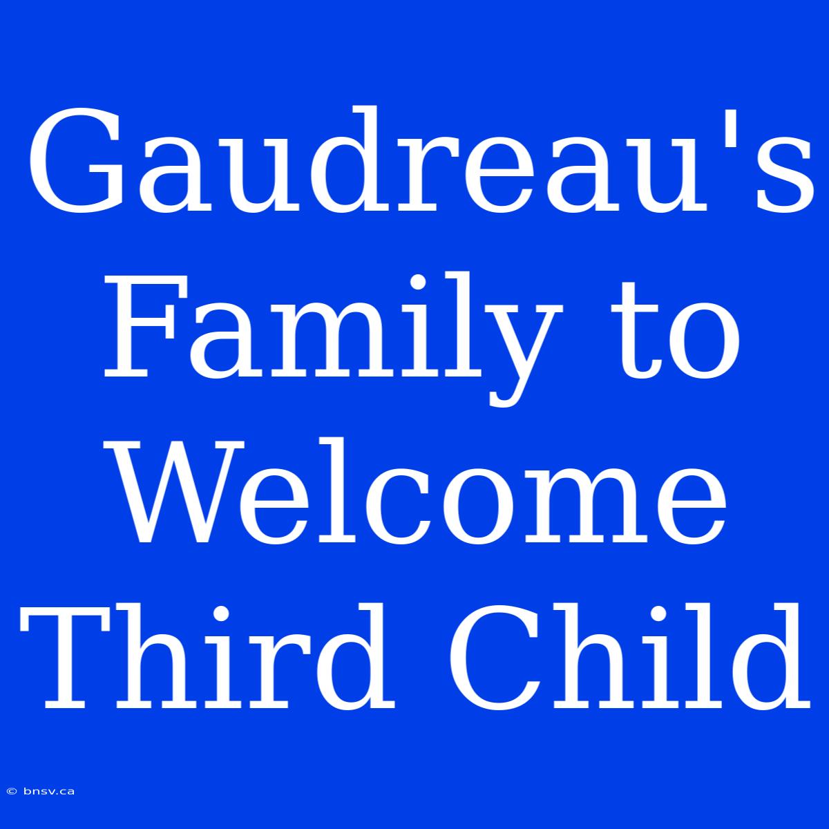 Gaudreau's Family To Welcome Third Child