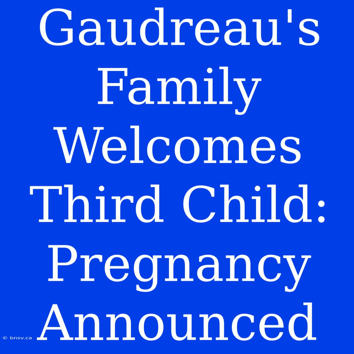 Gaudreau's Family Welcomes Third Child: Pregnancy Announced