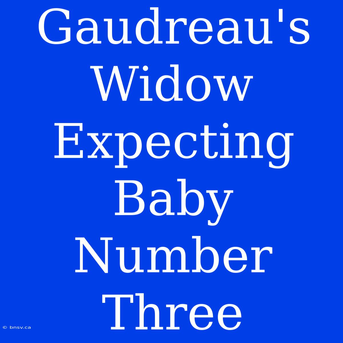 Gaudreau's Widow Expecting Baby Number Three