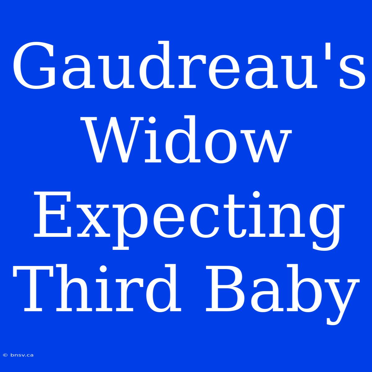 Gaudreau's Widow Expecting Third Baby