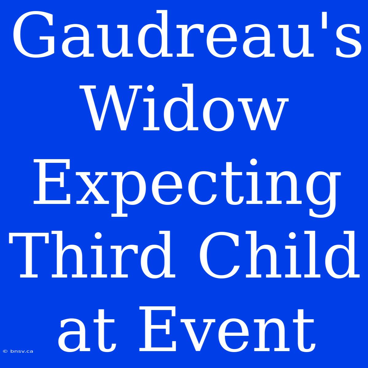 Gaudreau's Widow Expecting Third Child At Event