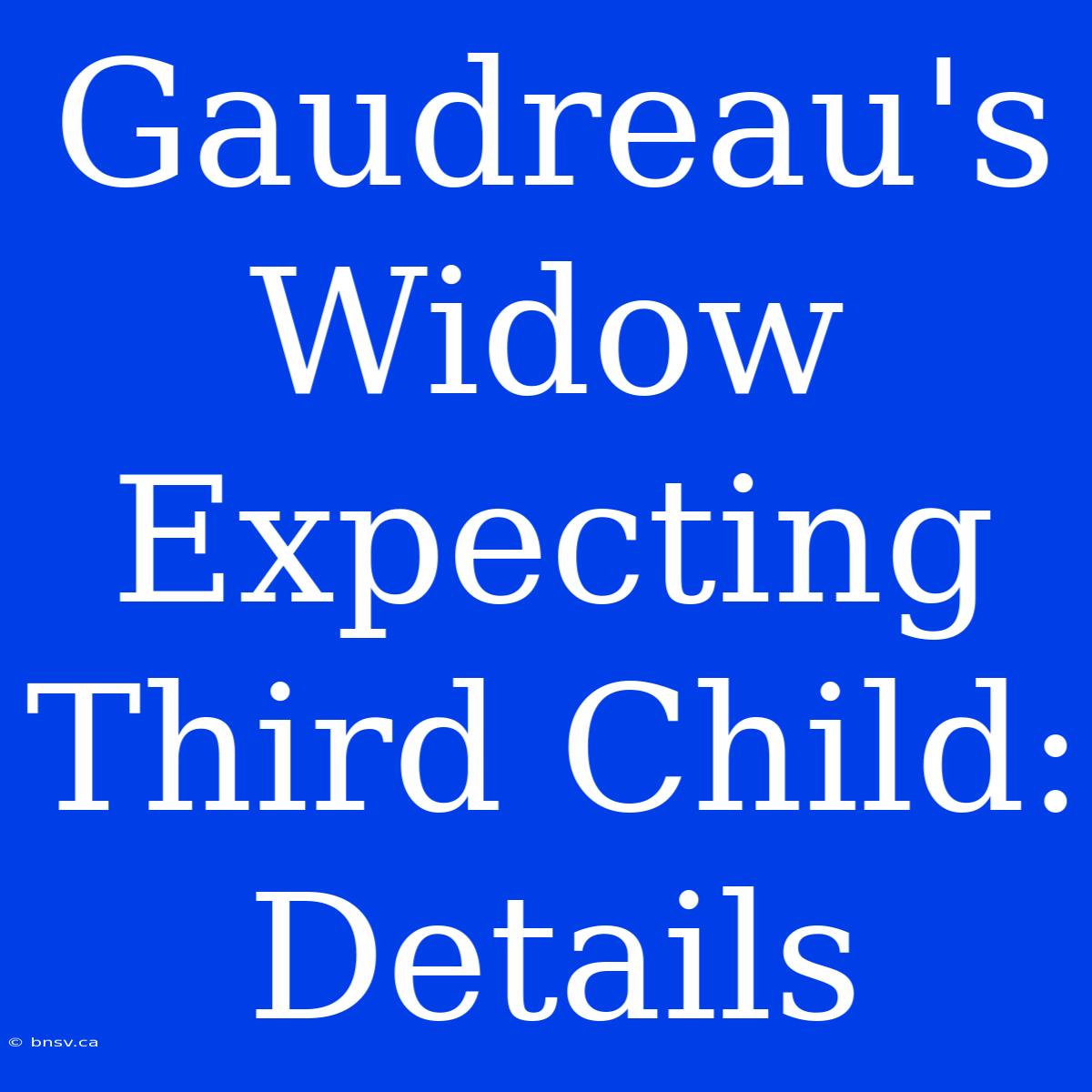 Gaudreau's Widow Expecting Third Child: Details