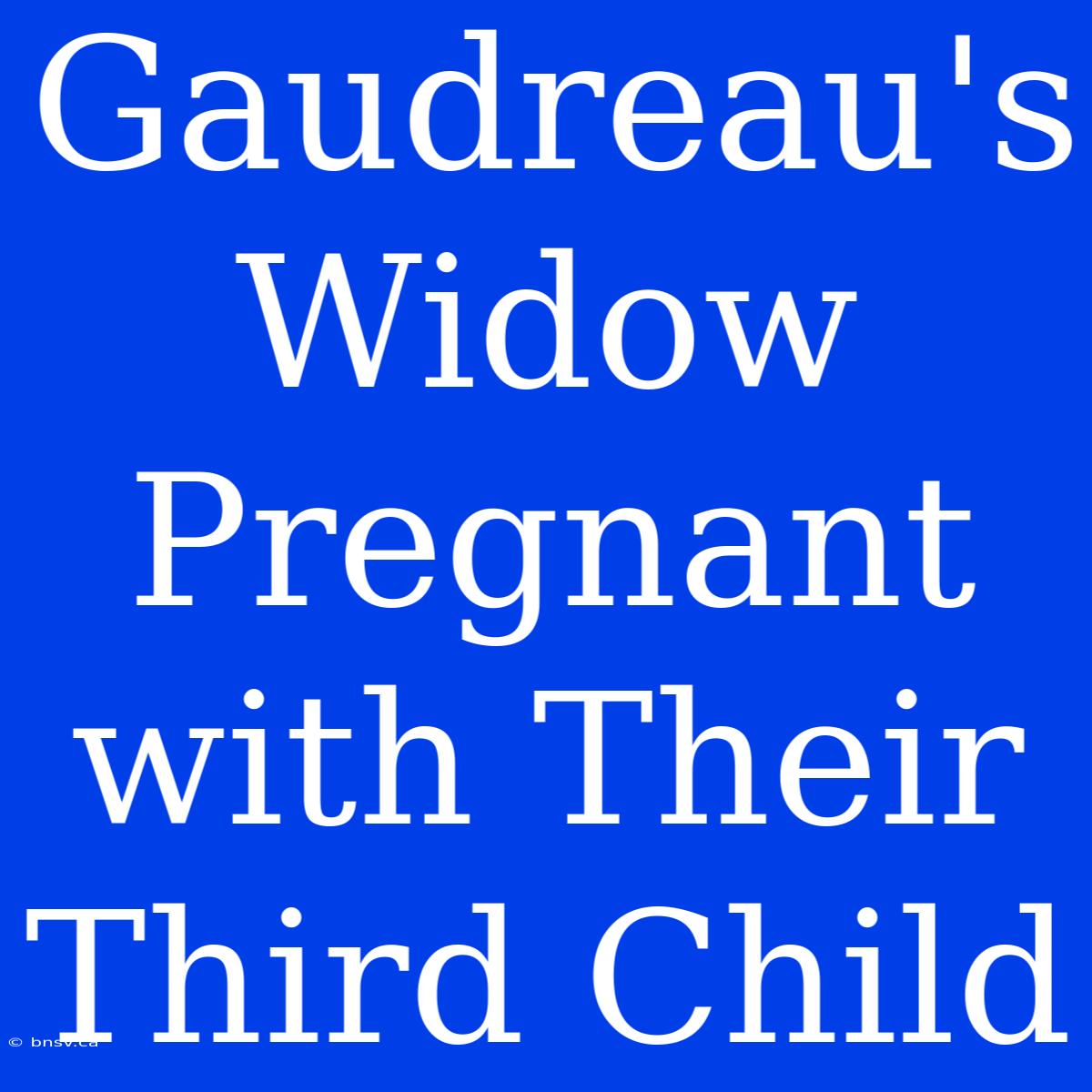 Gaudreau's Widow Pregnant With Their Third Child