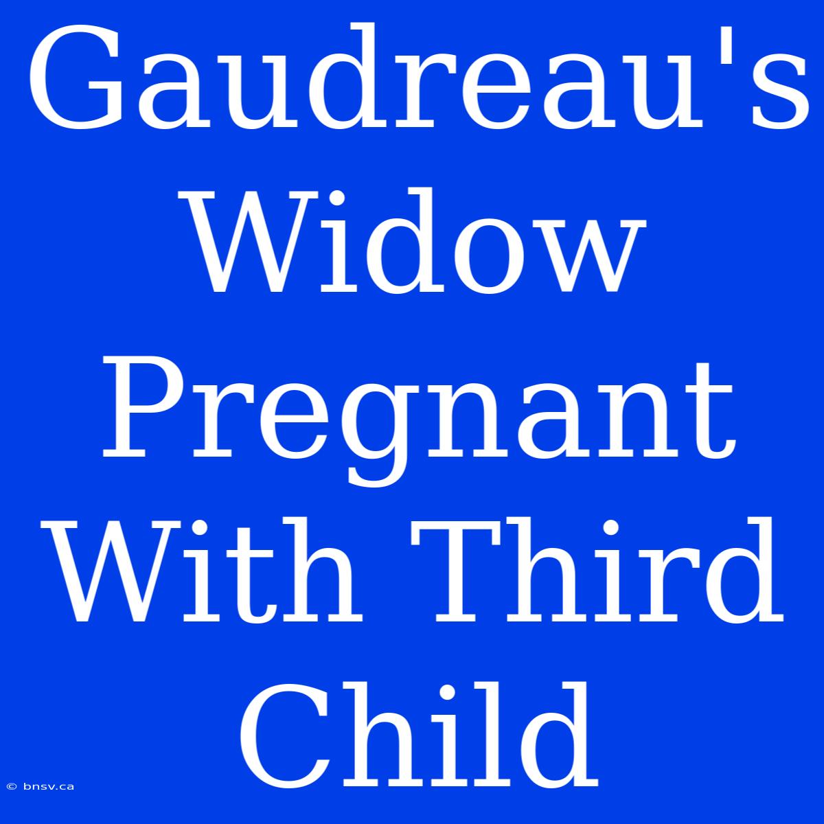 Gaudreau's Widow Pregnant With Third Child