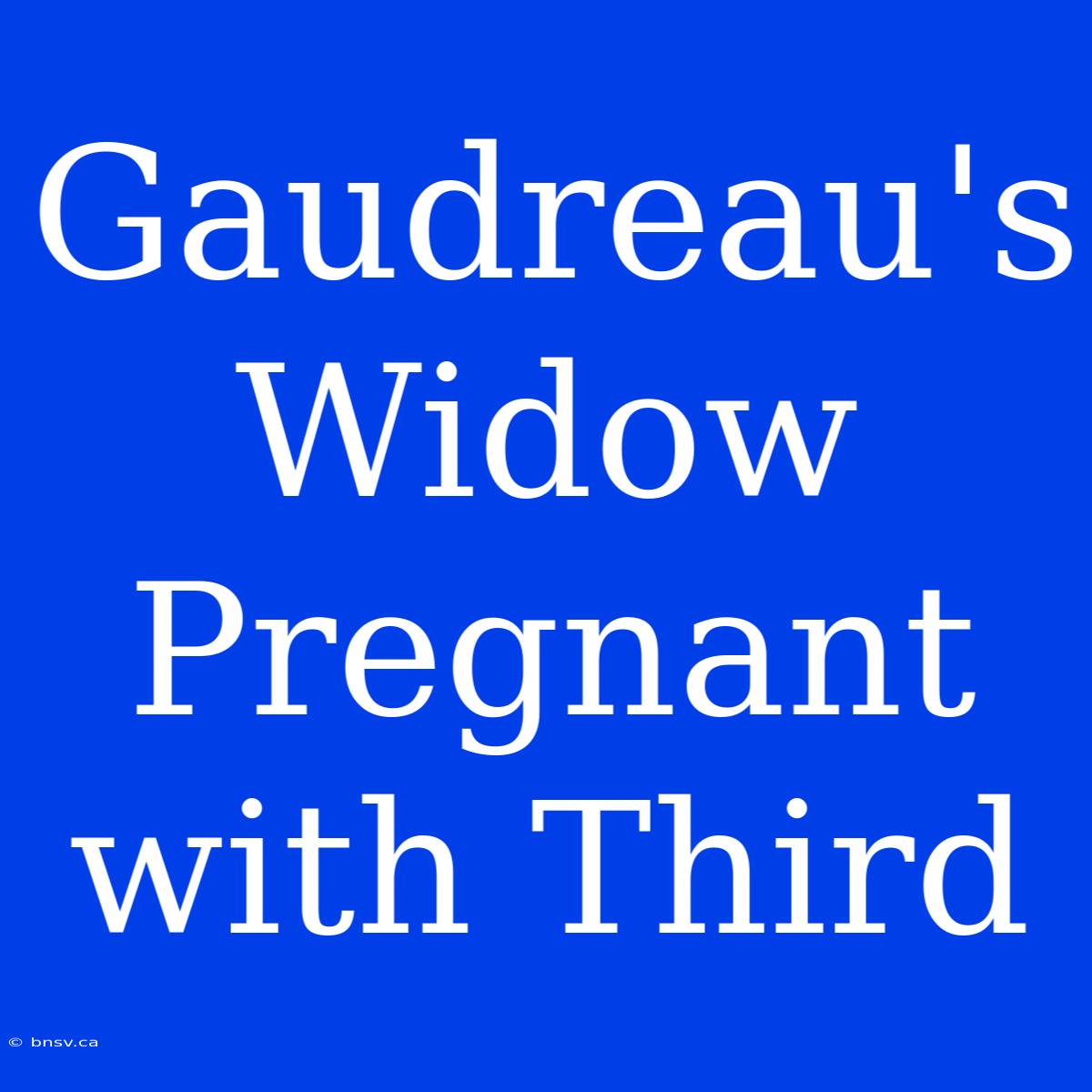 Gaudreau's Widow Pregnant With Third