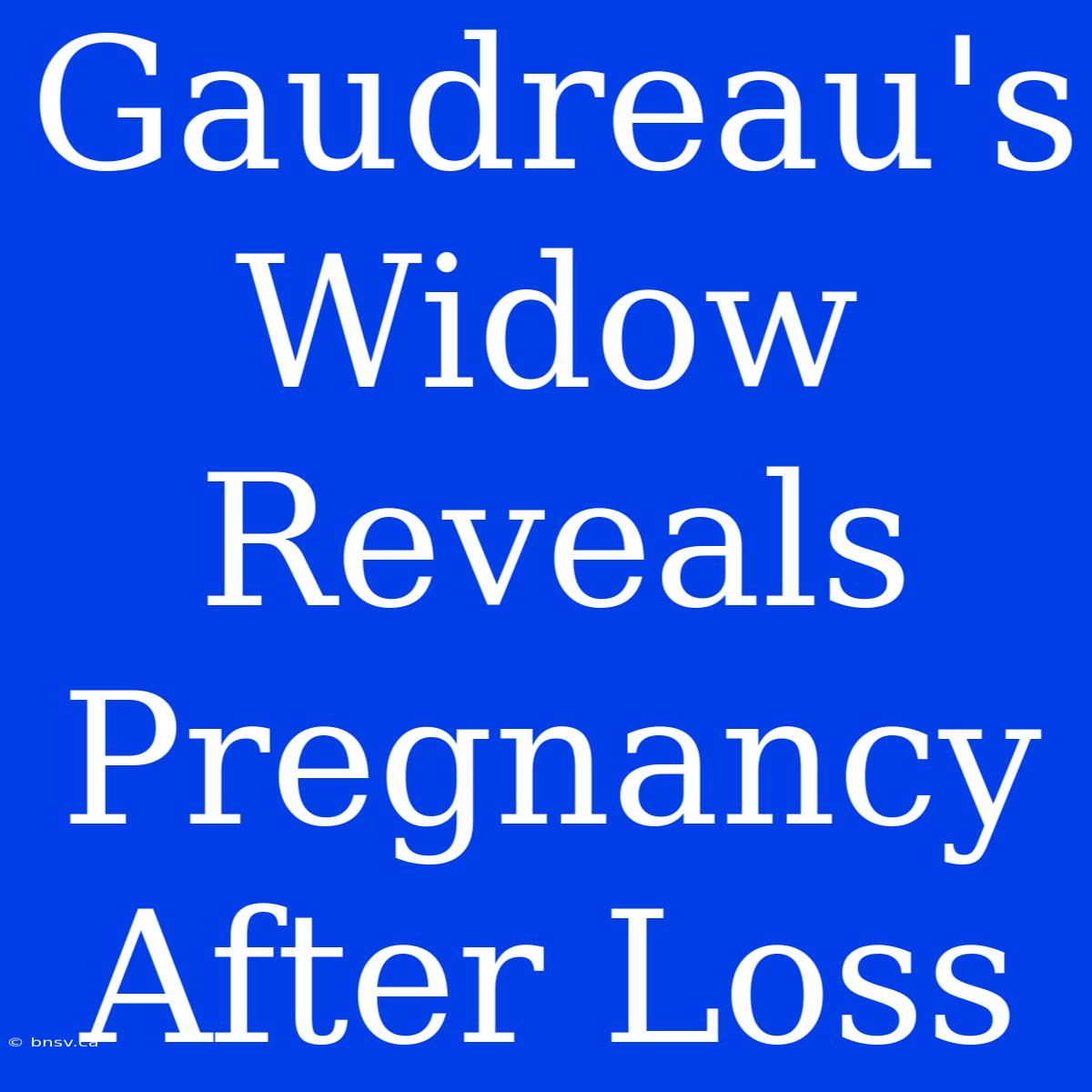 Gaudreau's Widow Reveals Pregnancy After Loss