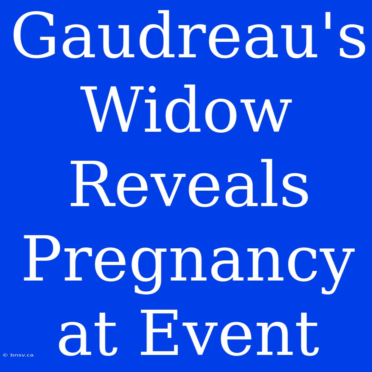 Gaudreau's Widow Reveals Pregnancy At Event