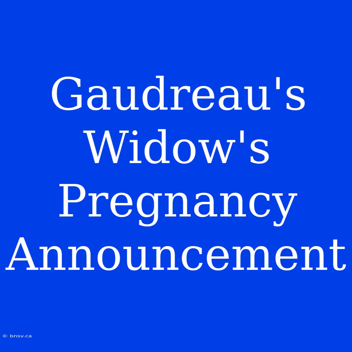 Gaudreau's Widow's Pregnancy Announcement