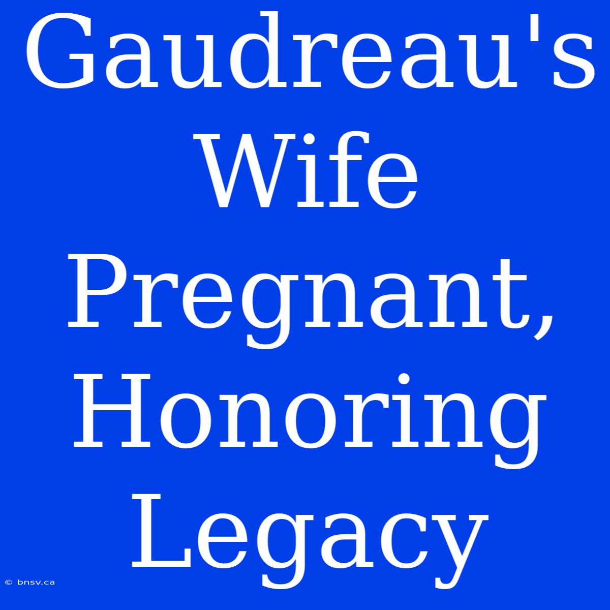 Gaudreau's Wife Pregnant, Honoring Legacy