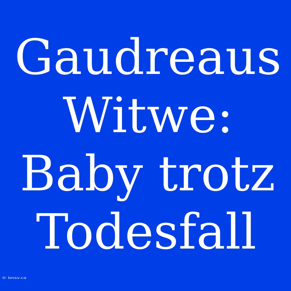 Gaudreaus Witwe: Baby Trotz Todesfall