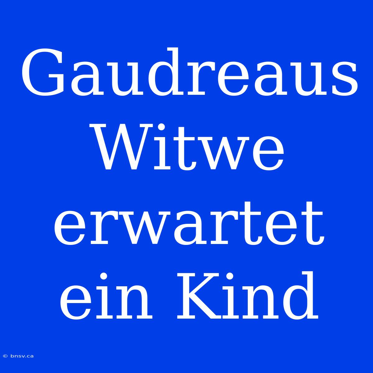 Gaudreaus Witwe Erwartet Ein Kind