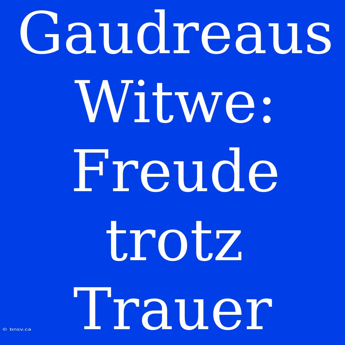 Gaudreaus Witwe: Freude Trotz Trauer