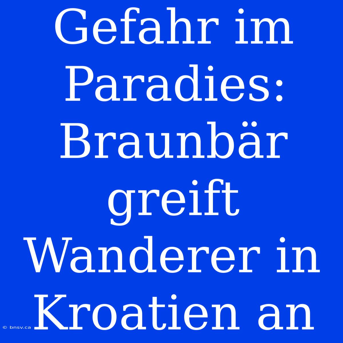 Gefahr Im Paradies: Braunbär Greift Wanderer In Kroatien An