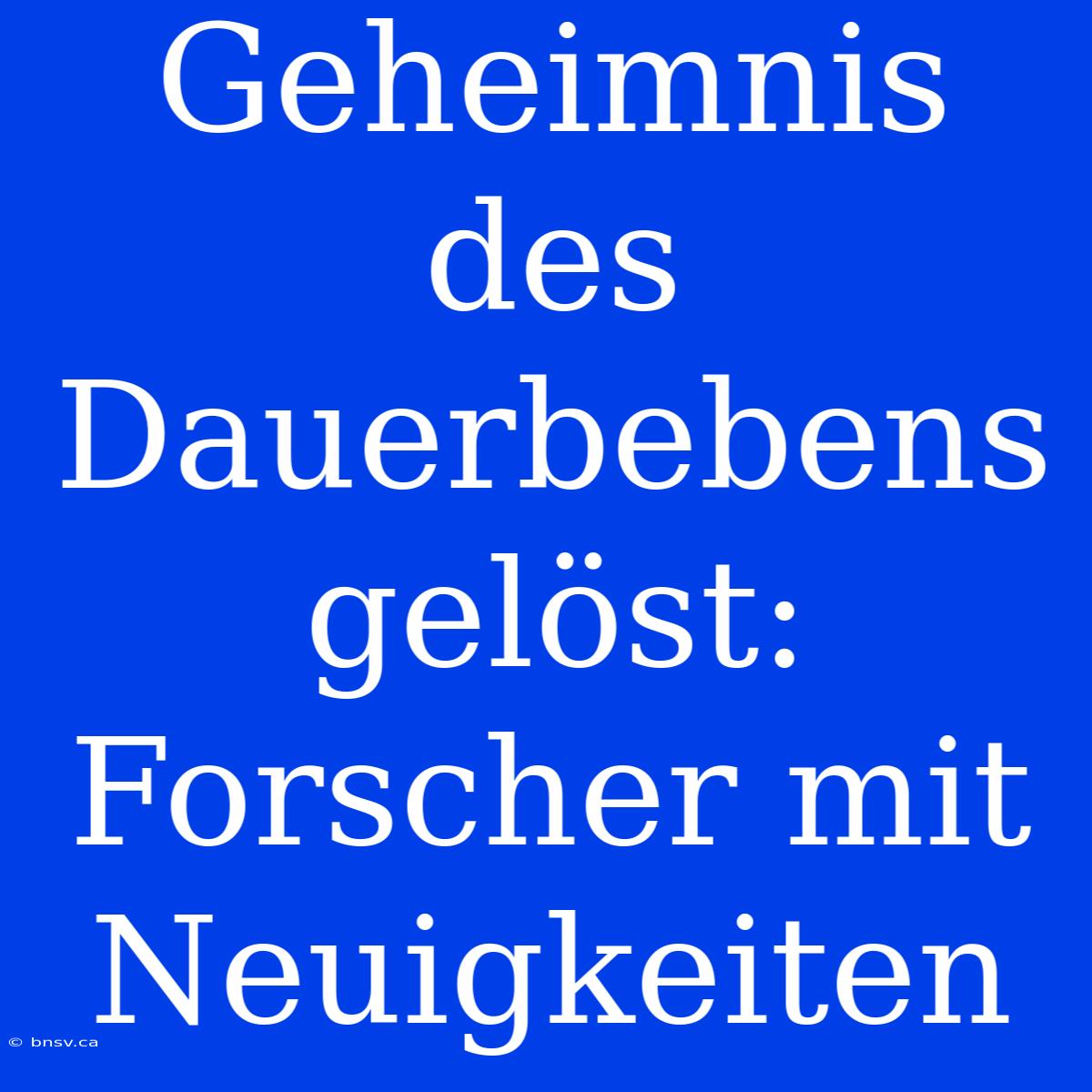 Geheimnis Des Dauerbebens Gelöst: Forscher Mit Neuigkeiten