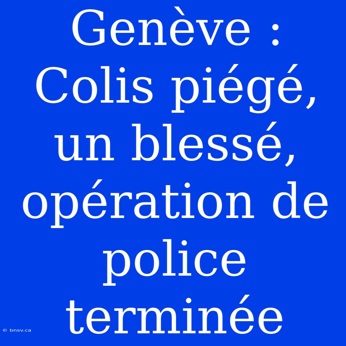 Genève : Colis Piégé, Un Blessé, Opération De Police Terminée