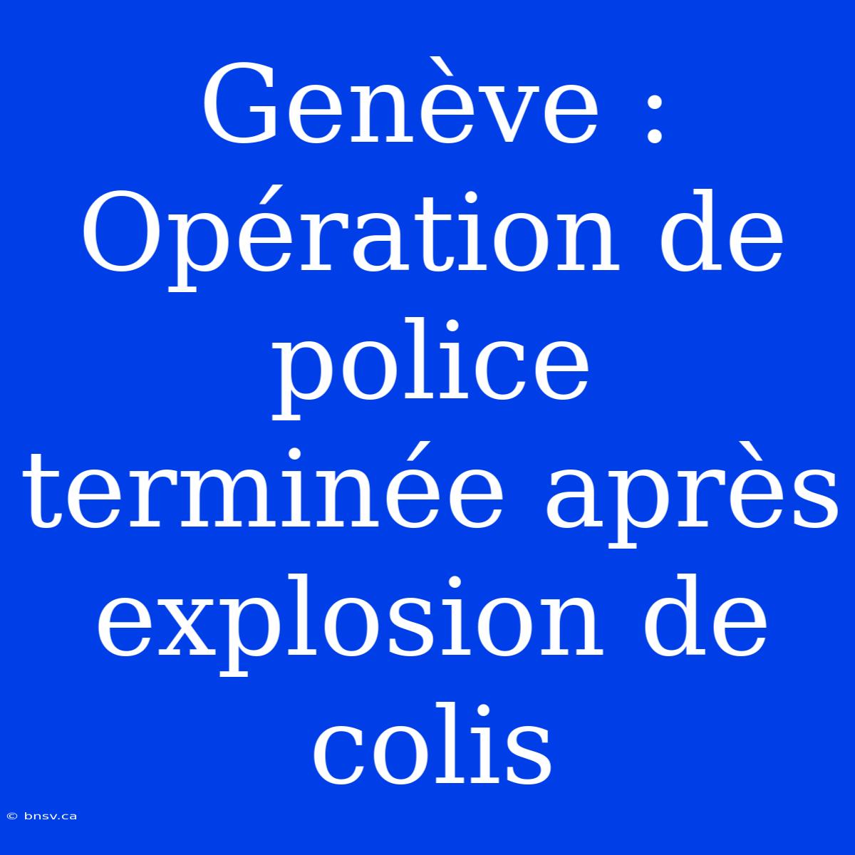 Genève : Opération De Police Terminée Après Explosion De Colis