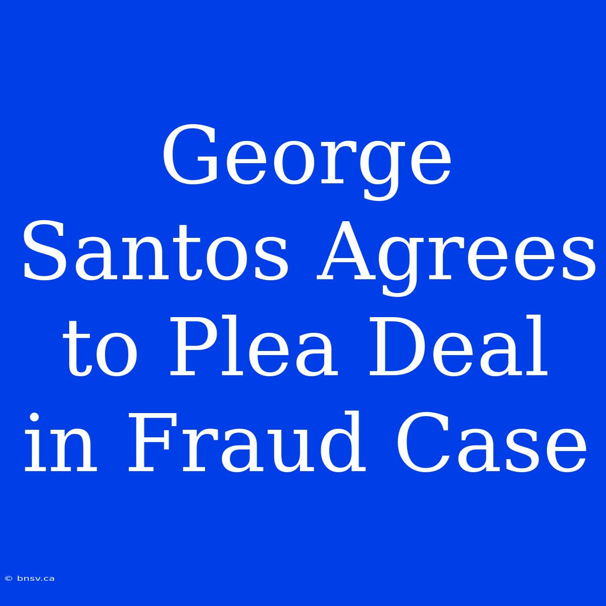 George Santos Agrees To Plea Deal In Fraud Case