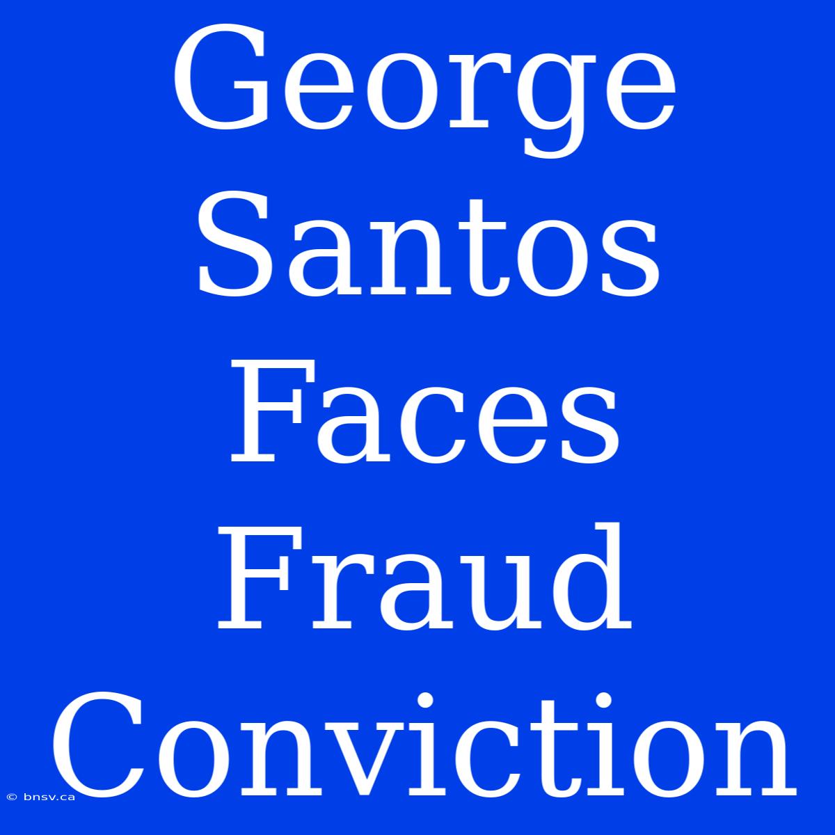 George Santos Faces Fraud Conviction