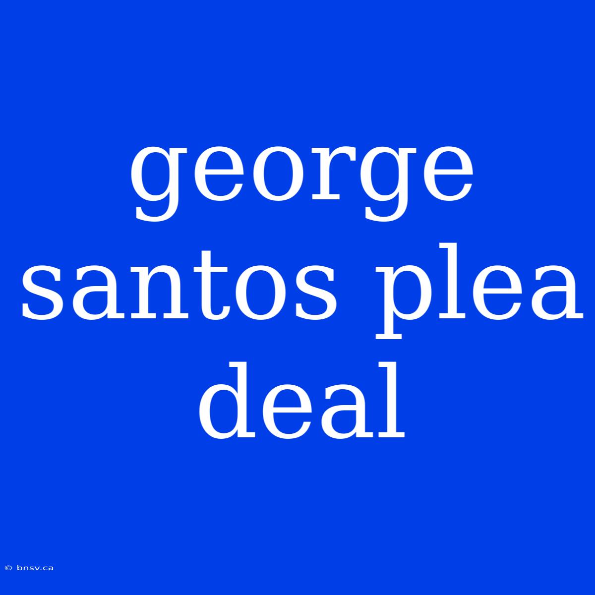 George Santos Plea Deal