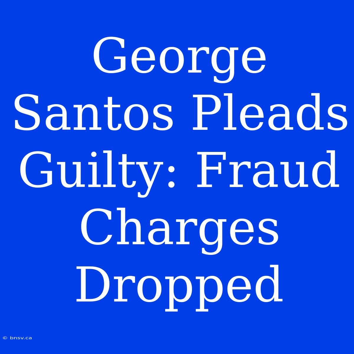 George Santos Pleads Guilty: Fraud Charges Dropped