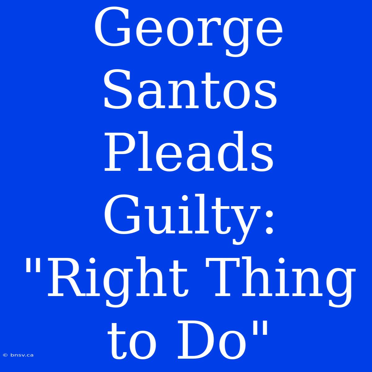 George Santos Pleads Guilty: 