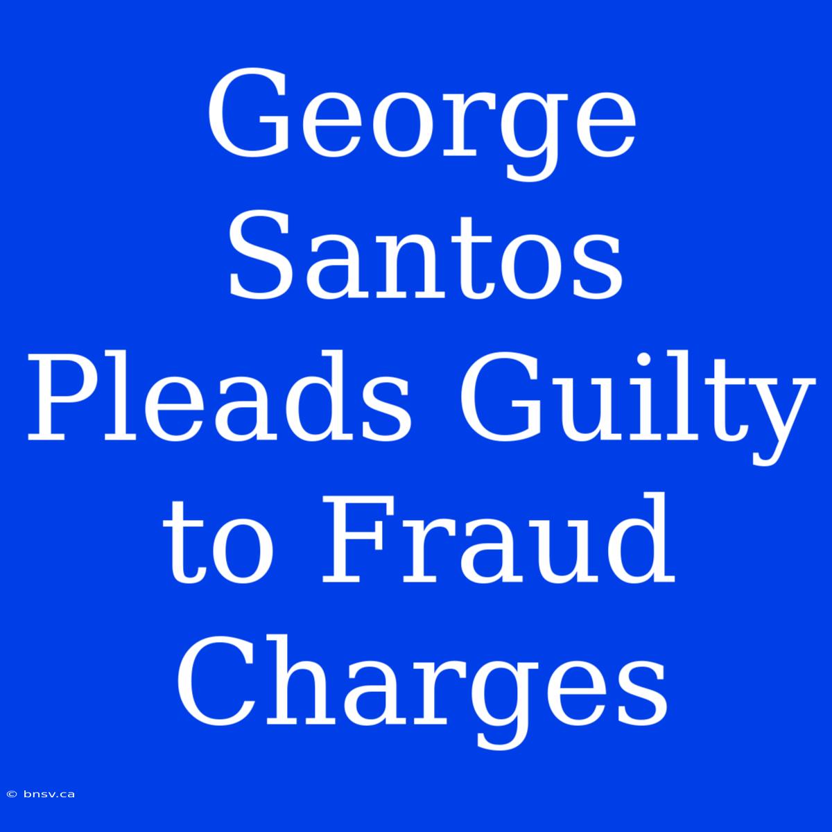 George Santos Pleads Guilty To Fraud Charges