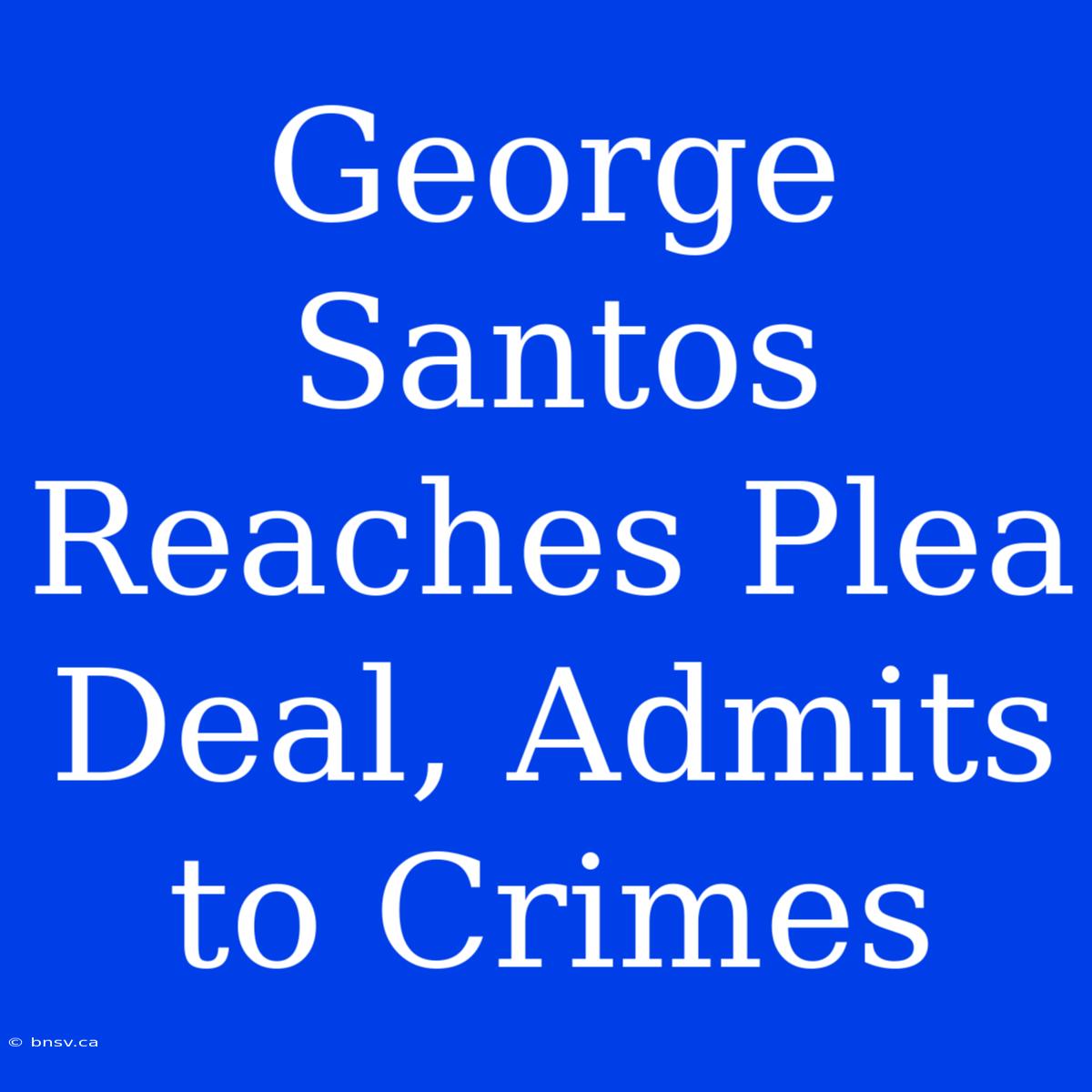 George Santos Reaches Plea Deal, Admits To Crimes