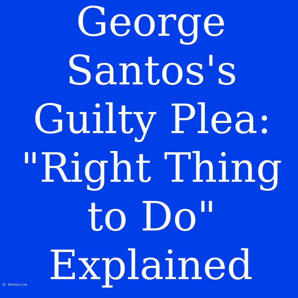 George Santos's Guilty Plea: 