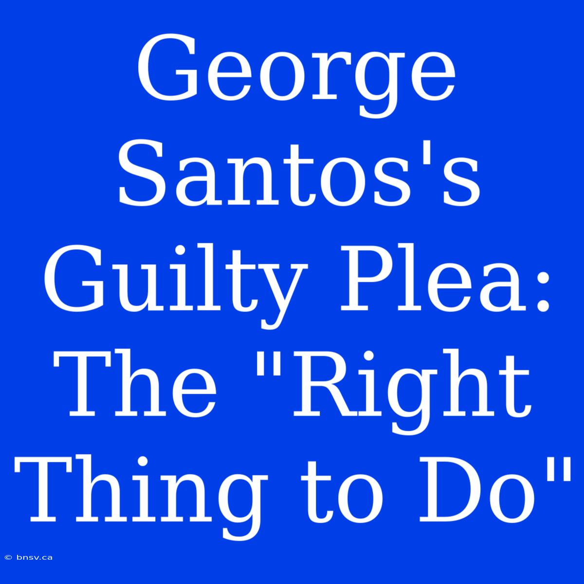 George Santos's Guilty Plea: The 