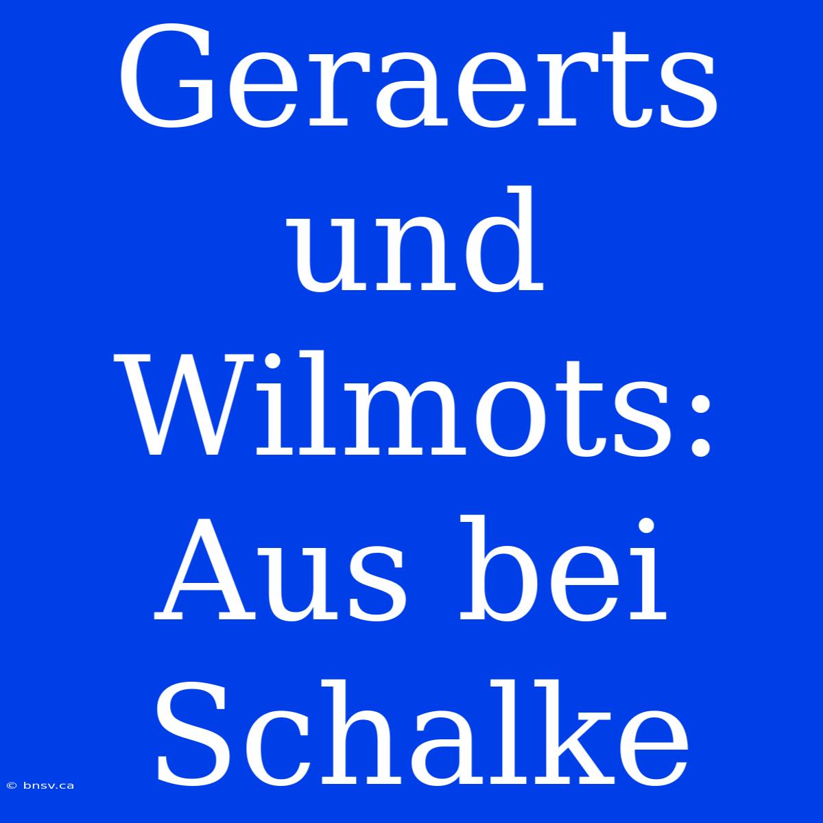 Geraerts Und Wilmots: Aus Bei Schalke