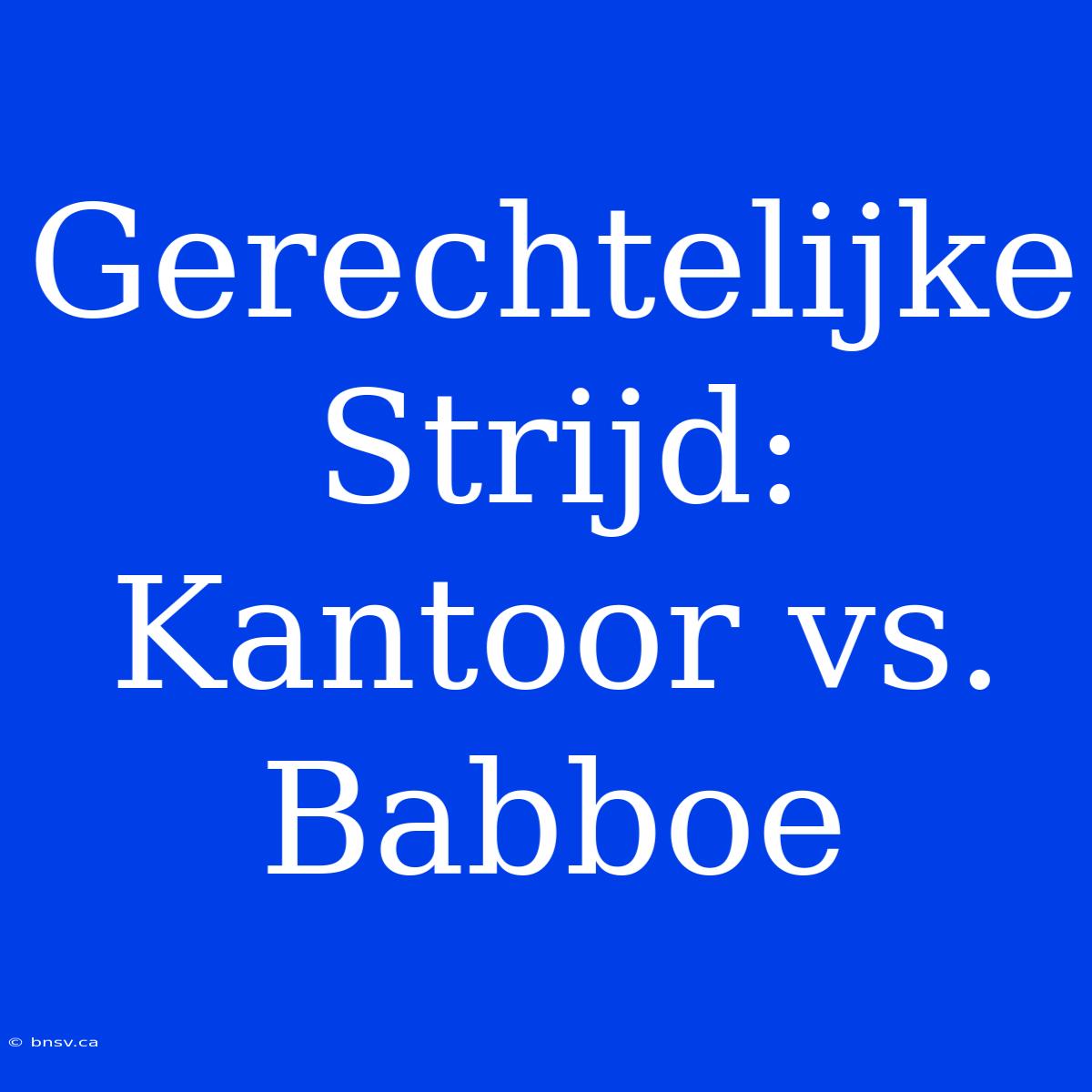 Gerechtelijke Strijd: Kantoor Vs. Babboe