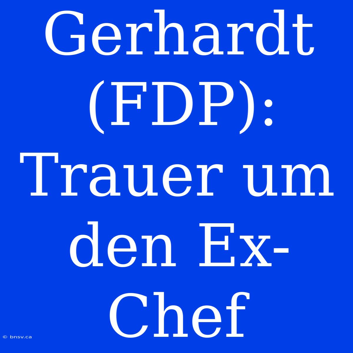 Gerhardt (FDP): Trauer Um Den Ex-Chef