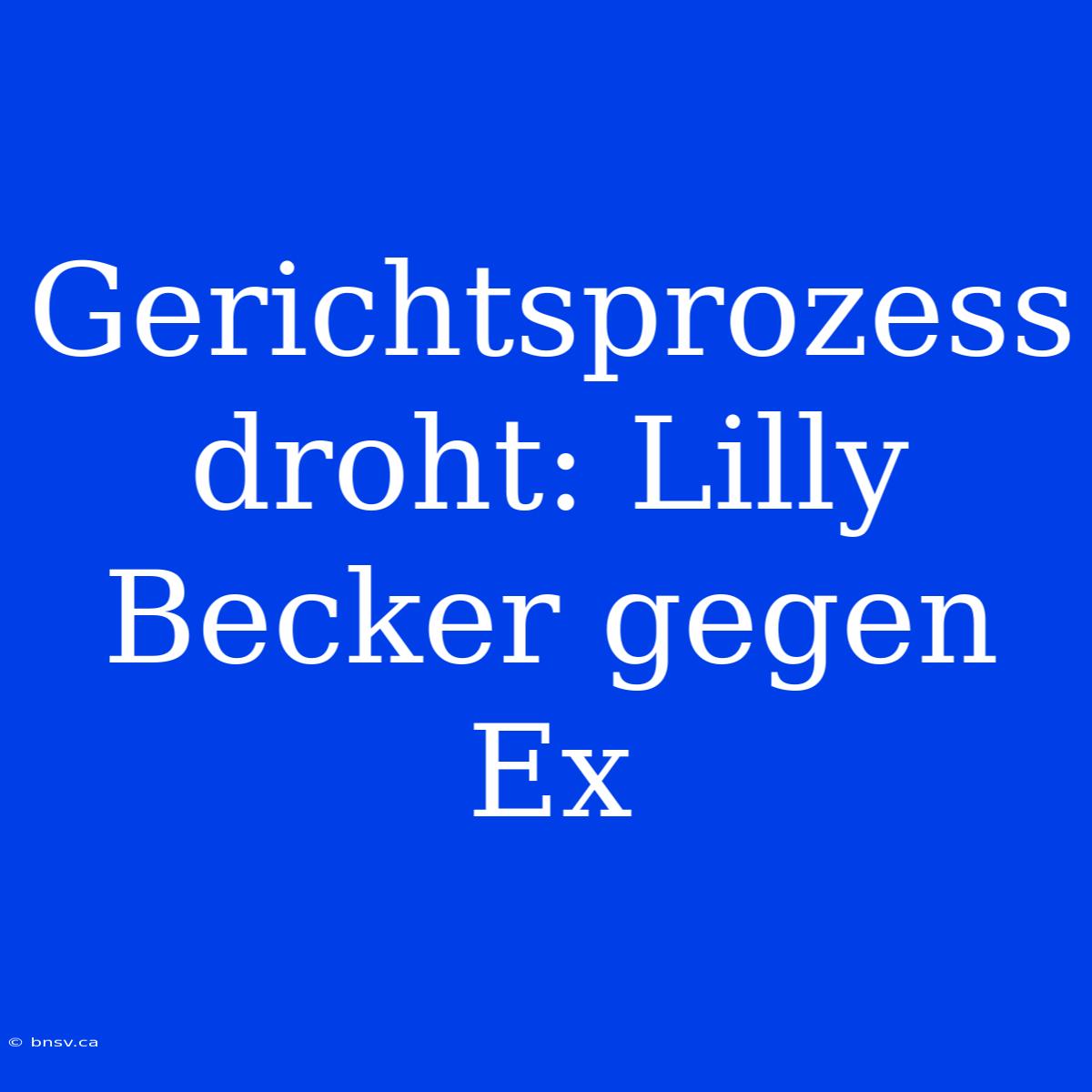 Gerichtsprozess Droht: Lilly Becker Gegen Ex