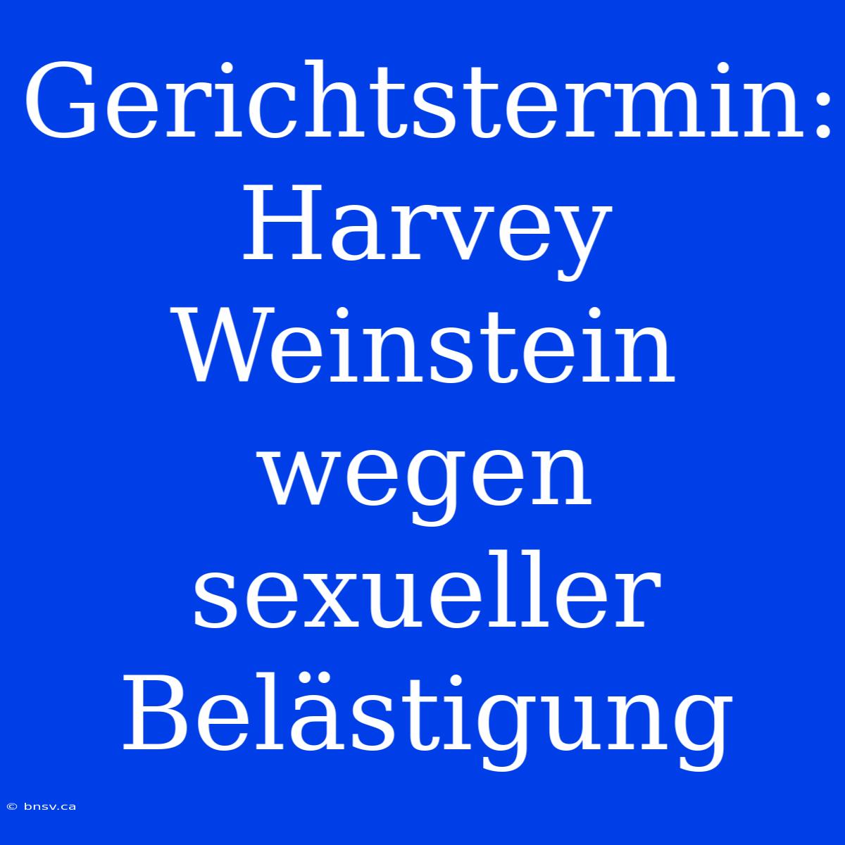 Gerichtstermin: Harvey Weinstein Wegen Sexueller Belästigung