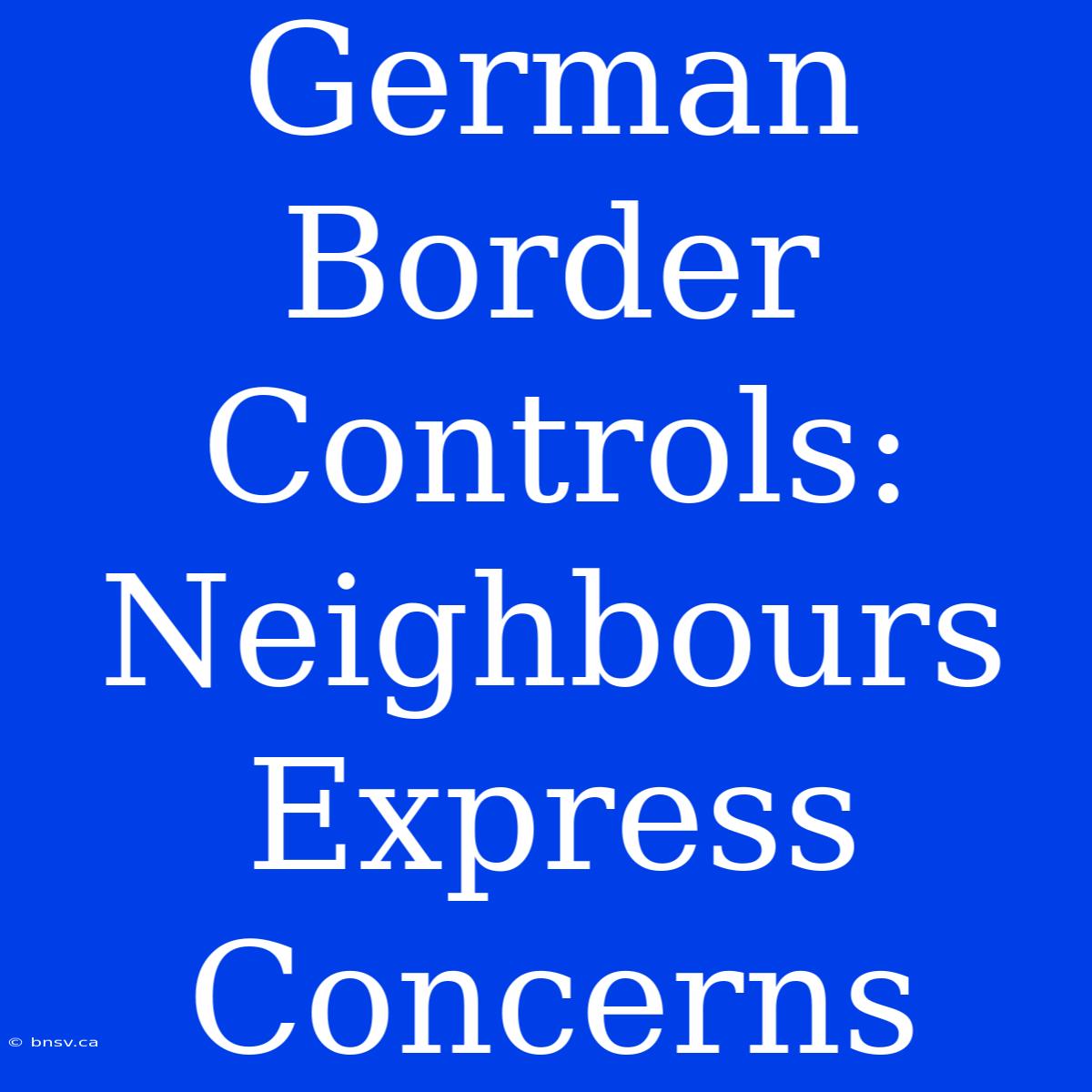 German Border Controls: Neighbours Express Concerns