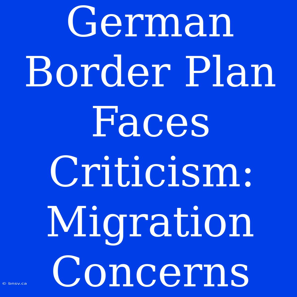 German Border Plan Faces Criticism: Migration Concerns