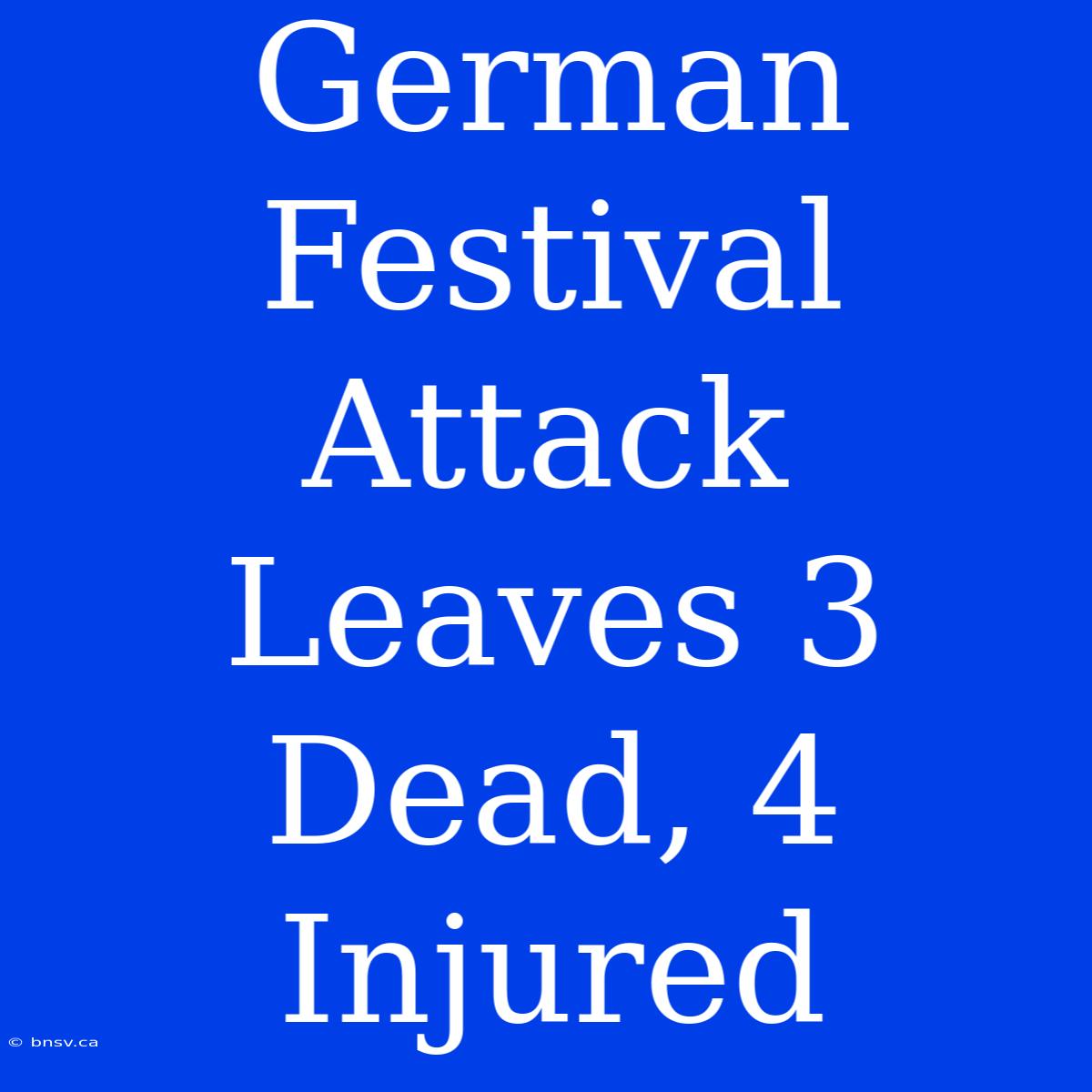 German Festival Attack Leaves 3 Dead, 4 Injured