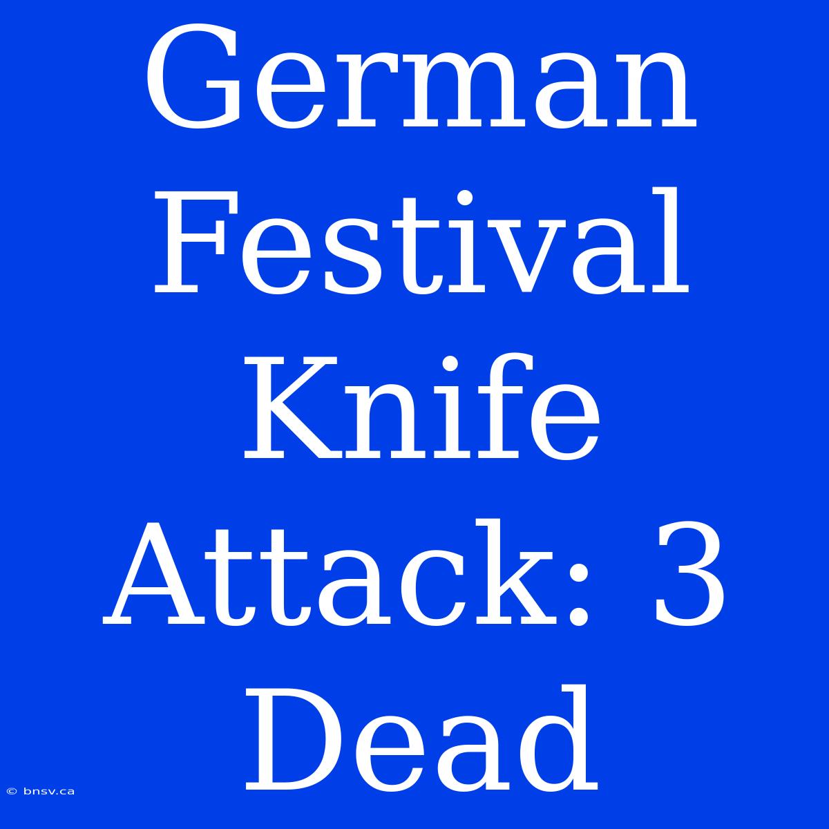 German Festival Knife Attack: 3 Dead