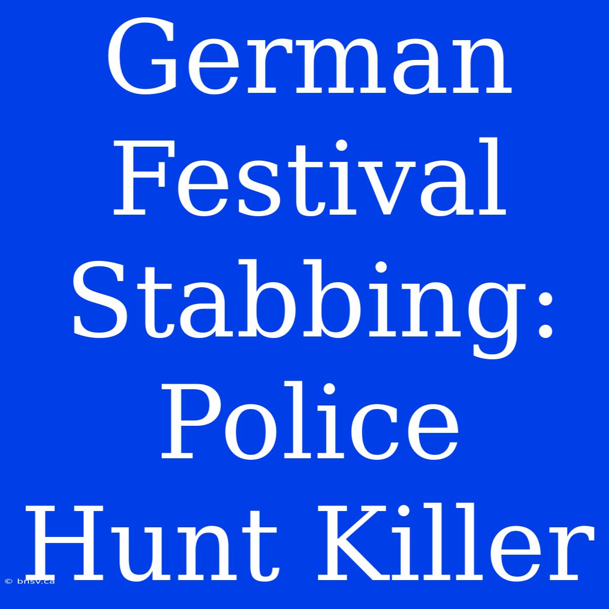 German Festival Stabbing: Police Hunt Killer