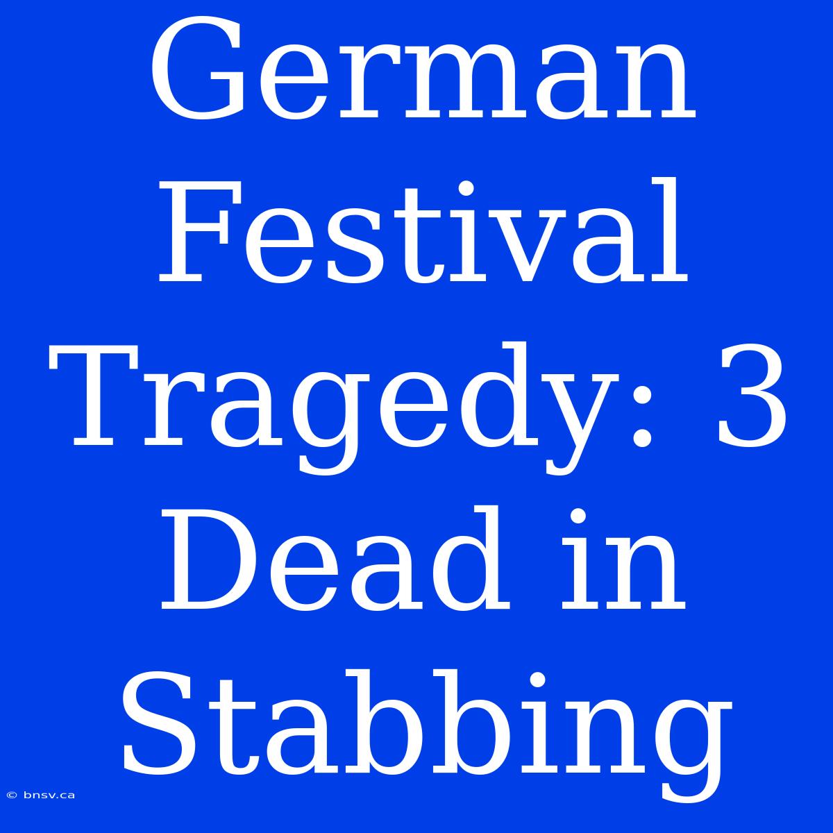 German Festival Tragedy: 3 Dead In Stabbing