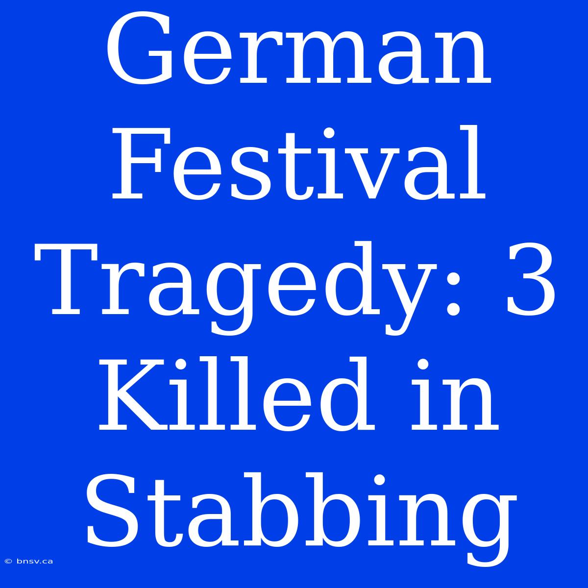 German Festival Tragedy: 3 Killed In Stabbing