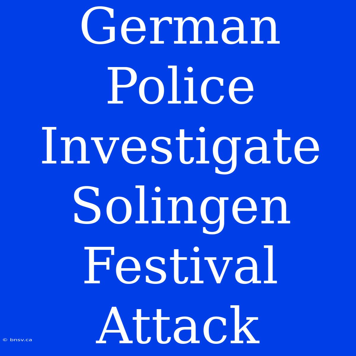 German Police Investigate Solingen Festival Attack