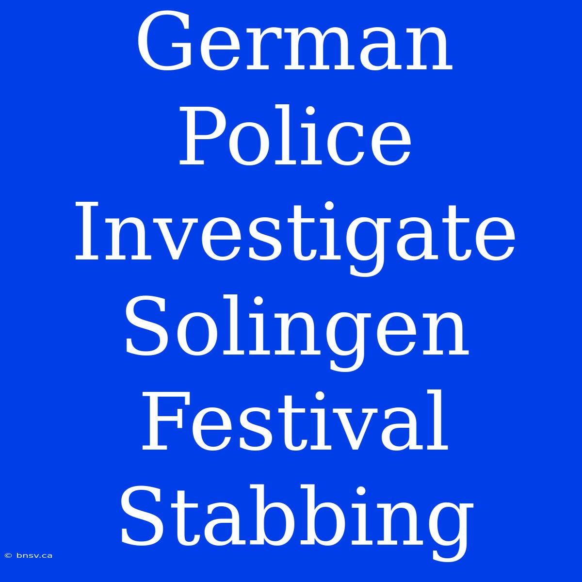 German Police Investigate Solingen Festival Stabbing