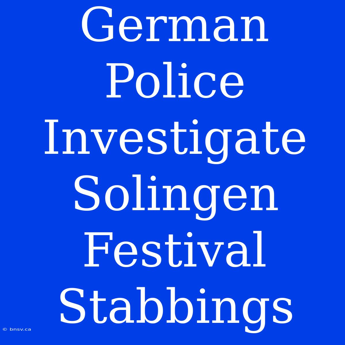 German Police Investigate Solingen Festival Stabbings