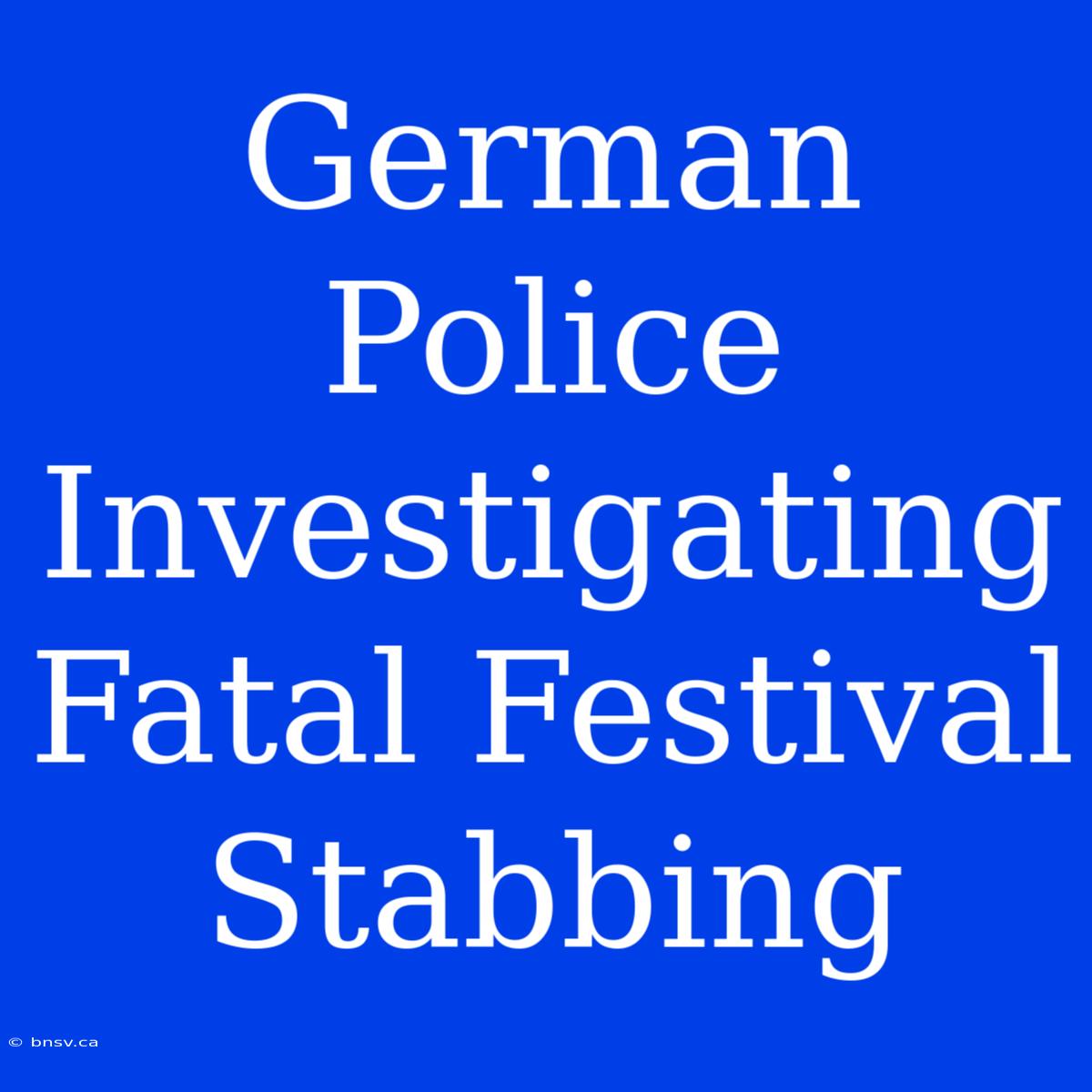 German Police Investigating Fatal Festival Stabbing