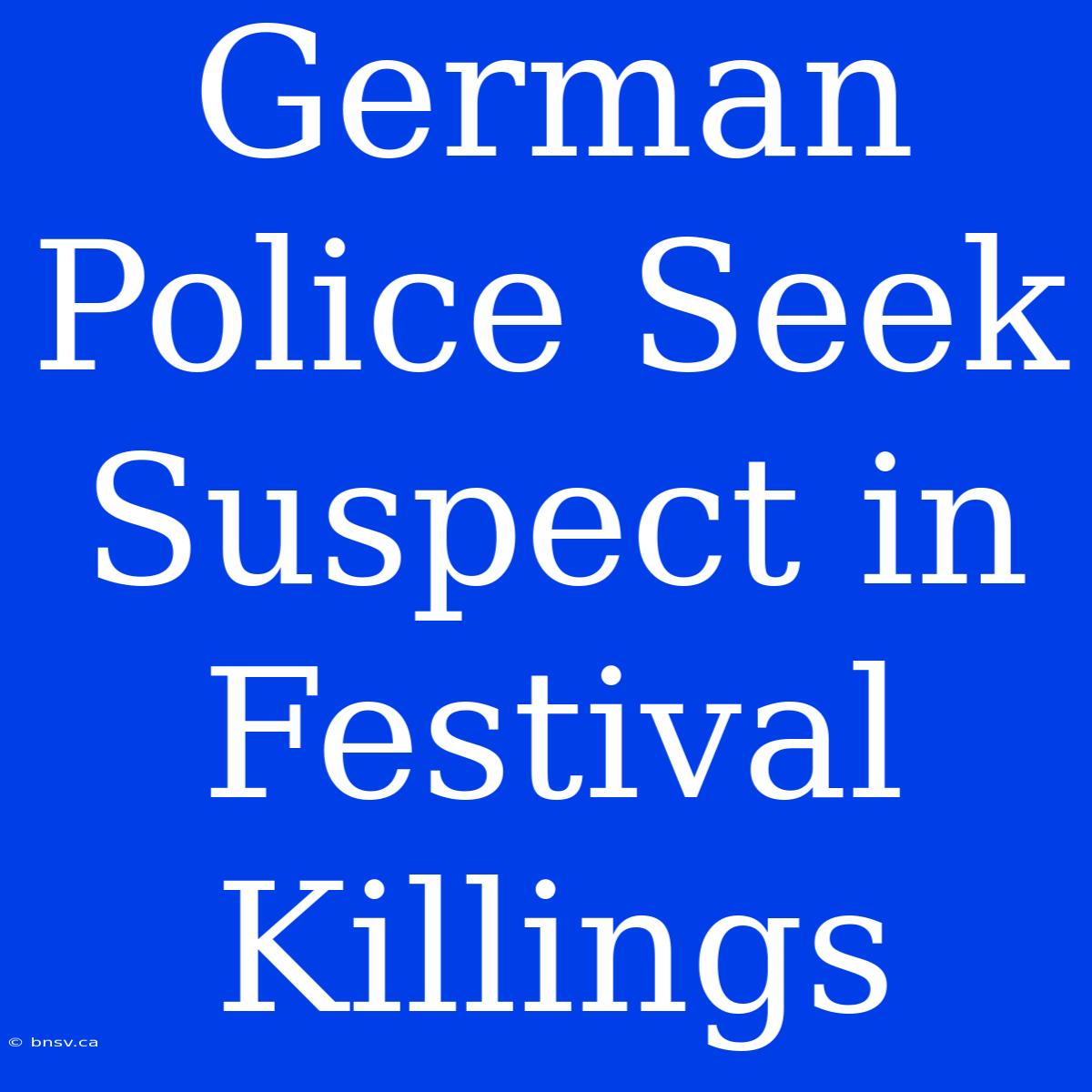 German Police Seek Suspect In Festival Killings