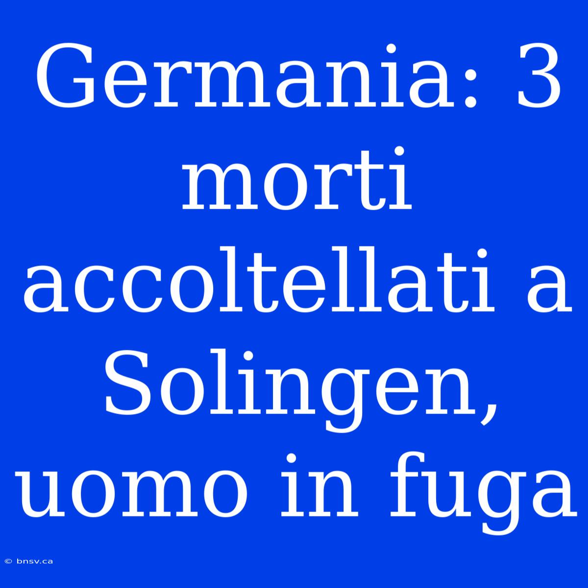 Germania: 3 Morti Accoltellati A Solingen, Uomo In Fuga