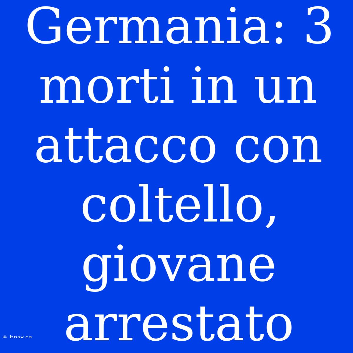 Germania: 3 Morti In Un Attacco Con Coltello, Giovane Arrestato