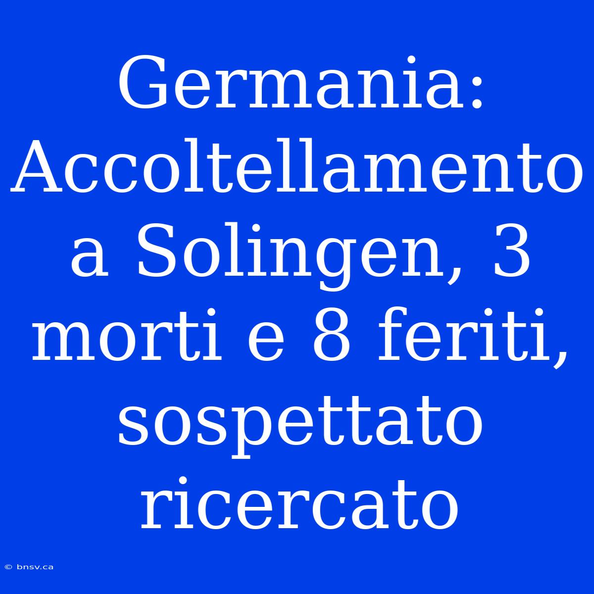 Germania: Accoltellamento A Solingen, 3 Morti E 8 Feriti, Sospettato Ricercato