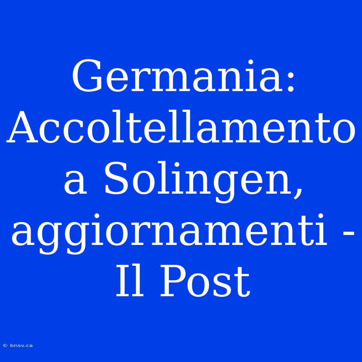 Germania: Accoltellamento A Solingen, Aggiornamenti - Il Post